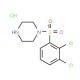 1-[(2,3-dichlorophenyl)sulfonyl]piperazine hydrochloride - chemical structure image