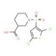 1-[(2,5-dichlorothien-3-yl)sulfonyl]piperidine-3-carboxylic acid - chemical structure image