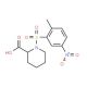 1-[(2-methyl-5-nitrophenyl)sulfonyl]piperidine-2-carboxylic acid - chemical structure image