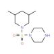 1-[(3,5-dimethylpiperidin-1-yl)sulfonyl]piperazine - chemical structure image