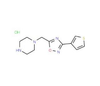 1-[(3-thien-3-yl-1,2,4-oxadiazol-5-yl)methyl]piperazine hydrochloride - chemical structure image