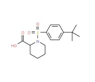 1-[(4-tert-butylphenyl)sulfonyl]piperidine-2-carboxylic acid - chemical structure image