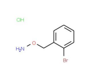 1-[(Aminooxy)methyl]-2-bromobenzene hydrochloride (CAS 51572-91-9) - chemical structure image