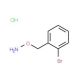 1-[(Aminooxy)methyl]-2-bromobenzene hydrochloride (CAS 51572-91-9) - chemical structure image
