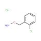 1-[(Aminooxy)methyl]-2-chlorobenzene hydrochloride (CAS 5555-48-6) - chemical structure image