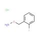1-[(Aminooxy)methyl]-2-fluorobenzene hydrochloride - chemical structure image