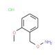 1-[(Aminooxy)methyl]-2-methoxybenzenehydrochloride (CAS 317821-72-0) - chemical structure image
