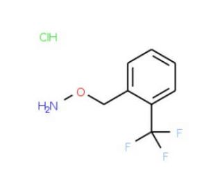 1-[(Aminooxy)methyl]-2-(trifluoromethyl)benzene hydrochloride - chemical structure image