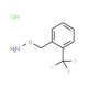 1-[(Aminooxy)methyl]-2-(trifluoromethyl)benzene hydrochloride - chemical structure image
