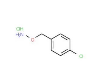 1-[(Aminooxy)methyl]-4-chlorobenzene hydrochloride (CAS 38936-60-6) - chemical structure image