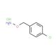 1-[(Aminooxy)methyl]-4-chlorobenzene hydrochloride (CAS 38936-60-6) - chemical structure image