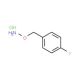1-[(Aminooxy)methyl]-4-fluorobenzene hydrochloride (CAS 51572-89-5) - chemical structure image