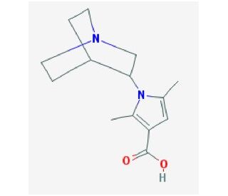 1-(1-azabicyclo[2.2.2]oct-3-yl)-2,5-dimethyl-1H-pyrrole-3-carboxylic acid - chemical structure image