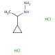 1-(1-cyclopropylethyl)hydrazine dihydrochloride - chemical structure image