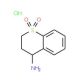 1,1-dioxido-3,4-dihydro-2H-thiochromen-4-ylamine hydrochloride (CAS 103659-91-2) - chemical structure image