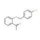1-(2-[(4-Chlorobenzyl)oxy]phenyl)-1-ethanone (CAS 79615-80-8) - chemical structure image