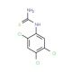 1-(2,4,5-Trichlorophenyl)-2-thiourea (CAS 90617-76-8) - chemical structure image