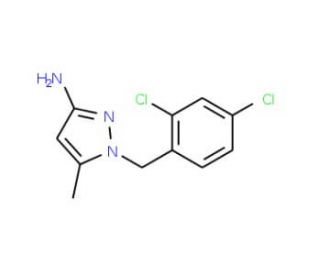 1-(2,4-Dichlorobenzyl)-5-methyl-1H-pyrazol-3-amine (CAS 956764-15-1) - chemical structure image