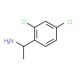 1-(2,4-Dichlorophenyl)ethanamine (CAS 89981-75-9) - chemical structure image