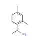 1-(2,4-dimethylphenyl)ethan-1-amine (CAS 102877-07-6) - chemical structure image