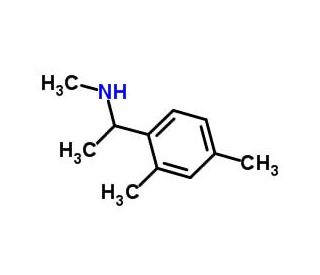 [1-(2,4-dimethylphenyl)ethyl](methyl)amine - chemical structure image