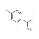 1-(2,4-Dimethylphenyl)propan-1-amine - chemical structure image