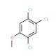 1,2,4-Trichloro-5-methoxybenzene (CAS 6130-75-2) - chemical structure image
