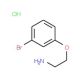 1-(2-aminoethoxy)-3-bromobenzene hydrochloride - chemical structure image