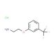 1-(2-aminoethoxy)-3-(trifluoromethyl)benzene hydrochloride - chemical structure image