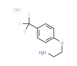 1-(2-aminoethoxy)-4-(trifluoromethyl)benzene hydrochloride - chemical structure image