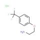 1-(2-aminoethoxy)-4-(trifluoromethyl)benzene hydrochloride - chemical structure image