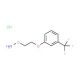 1-[2-(Aminooxy)ethoxy]-3-(trifluoromethyl)benzenehydrochloride (CAS 113211-36-2) - chemical structure image