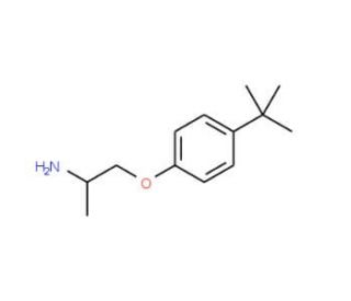 1-(2-aminopropoxy)-4-tert-butylbenzene - chemical structure image