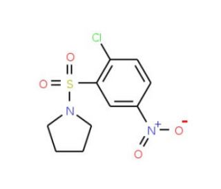 1-(2-Chloro-5-nitro-benzenesulfonyl)-pyrrolidine - chemical structure image