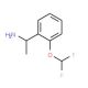 1-[2-(difluoromethoxy)phenyl]ethanamine - chemical structure image