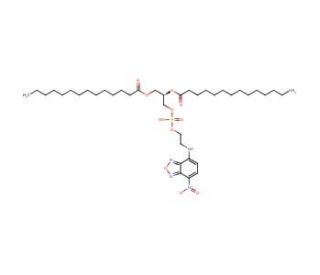 1,2-Dimyristoyl-sn-glycero-3-phosphoethanolamine, 7-nitrobenzofurazan-labeled (CAS 123402-48-2) - chemical structure image