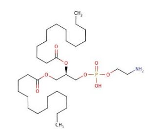1,2-Dimyristoyl-sn-glycero-3-phosphoethanolamine (CAS 998-07-2) - chemical structure image
