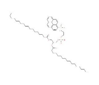 1,2-Dioleoyl-sn-glycero-3-phosphoethanolamine, pyrene-labeled - chemical structure image