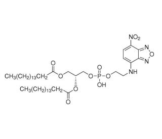 1,2-Dipalmitoyl-sn-glycero-3-phosphoethanolamine, 7-nitrobenzofurazan-labeled (CAS 92605-64-6) - chemical structure image