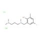 1-(2-Hydroxy-5-iodo-3-methylbenzyl)-1,3,3-trimethylpropanediamine dihydrochloride (CAS 89815-43-0) - chemical structure image