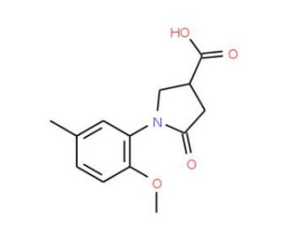 1-(2-Methoxy-5-methyl-phenyl)-5-oxo-pyrrolidine-3-carboxylic acid - chemical structure image