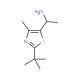 1-(2-tert-butyl-4-methyl-1,3-thiazol-5-yl)ethanamine - chemical structure image