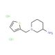 1-(2-Thienylmethyl)piperidin-3-aminedihydrochloride - chemical structure image