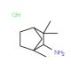 1,3,3-Trimethylbicyclo[2.2.1]heptan-2-amine hydrochloride (CAS 301822-76-4) - chemical structure image