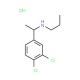 [1-(3,4-dichlorophenyl)ethyl](propyl)amine hydrochloride - chemical structure image