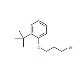 1-(3-Bromo-propoxy)-2-tert-butyl-benzene - chemical structure image
