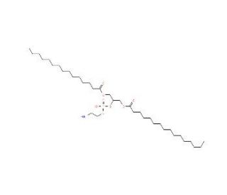 1,3-Dipalmitoyl-glycero-2-phosphoethanolamine (CAS 67303-93-9) - chemical structure image