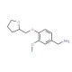 1-[3-methoxy-4-(tetrahydrofuran-2-ylmethoxy)phenyl]methanamine - chemical structure image