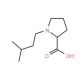 1-(3-methylbutyl)pyrrolidine-2-carboxylic acid - chemical structure image