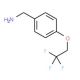 1-[4-(2,2,2-trifluoroethoxy)phenyl]methanamine - chemical structure image